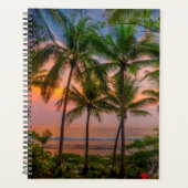 Plage tropicale | Parc national du Corcovado (Devant)