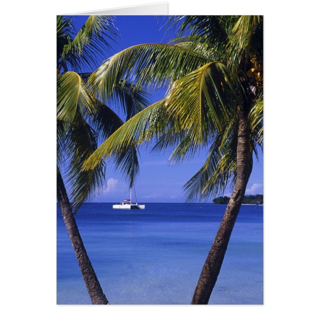 Plages à Negril, Jamaïque (Devant)