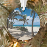 Plages tropicales | Anguilla Beach, Palm Tree<br><div class="desc">Cette photo Getty Images extraordinaire présente les meilleures plages d'Anguilla.</div>