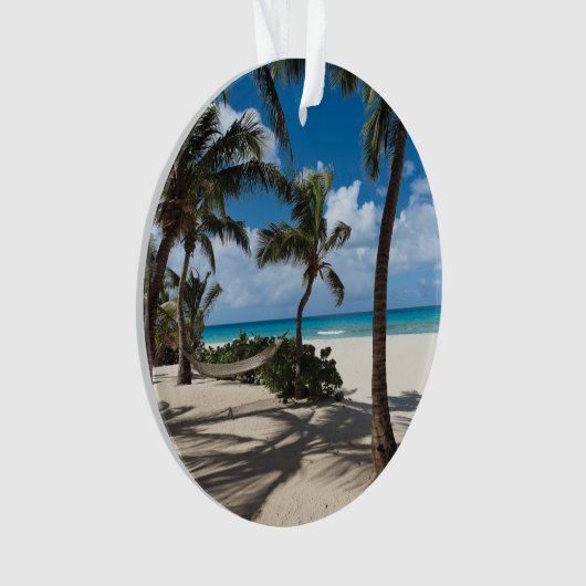 Plages tropicales | Anguilla Beach, Palm Tree (devant)