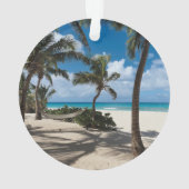 Plages tropicales | Anguilla Beach, Palm Tree (dos)