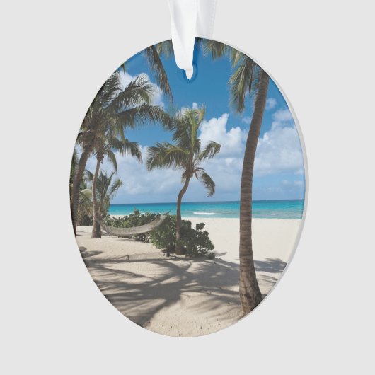 Plages tropicales | Anguilla Beach, Palm Tree (devant)