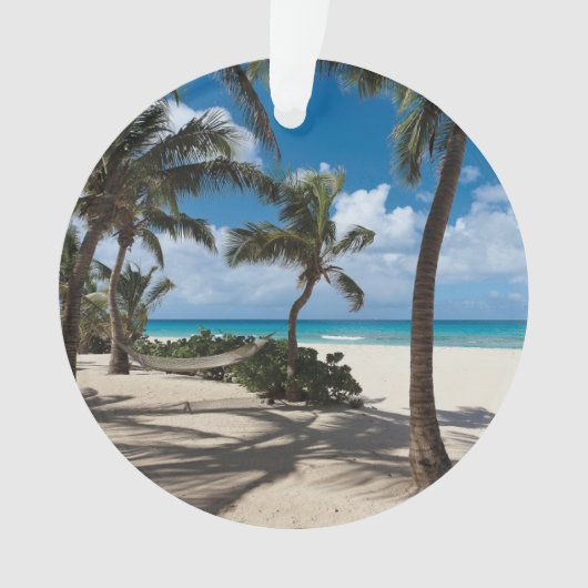 Plages tropicales | Anguilla Beach, Palm Tree (devant)