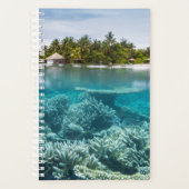 Plages tropicales | Ari Atoll Maldives (Devant)