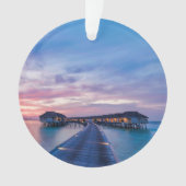 Plages tropicales | Bungalows Maldives (devant)