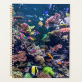 Plages tropicales | Corail sous-marin Reef (Devant)