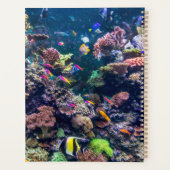 Plages tropicales | Corail sous-marin Reef (Dos)