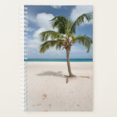 Plages tropicales | Eagle Beach, Aruba (Devant)