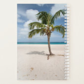 Plages tropicales | Eagle Beach, Aruba (Dos)