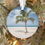 Plages tropicales | Eagle Beach, Aruba<br><div class="desc">Cette photo de Getty Images extraordinaire présente un palmier solitaire sur le sable blanc à Eagle Beach,  Aruba</div>