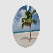 Plages tropicales | Eagle Beach, Aruba (devant)