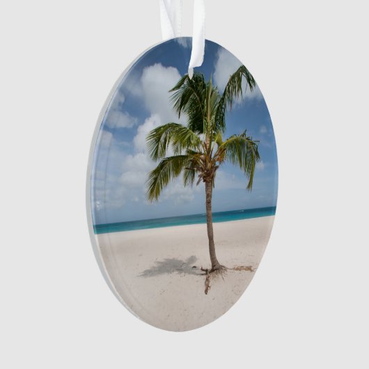 Plages tropicales | Eagle Beach, Aruba (devant)