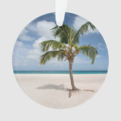 Plages tropicales | Eagle Beach, Aruba (devant)