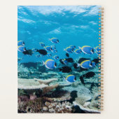 Plages tropicales | Esturgeon Parmi le corail (Dos)