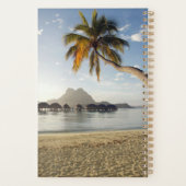 Plages tropicales | Plages, Bora Bora (Dos)