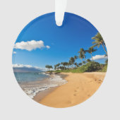 Plages tropicales | Wailea, Maui, Hawaii (devant)