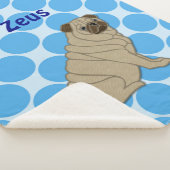 plaid sherpa pug (3/4)