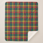 Plaid Tartan Clan Buchanan Red Yellow (Devant)