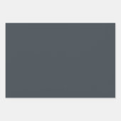 Plain Arsenic Ash Battleship Grijze tinten 3 tinte Inpakpapier Vel (Voorkant)