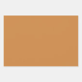 Plain Peru Tumbleweed Toscaanse bruine tinten 3 ti Inpakpapier Vel (Voorkant)