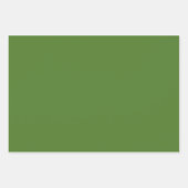 Plain Shamrock Pigment Sap Green Shades 3 Tones Inpakpapier Vel (Voorkant 3)