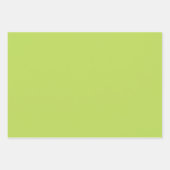 Plain Spring Bud Lime Green Shades 3 Tones Inpakpapier Vel (Voorkant 2)