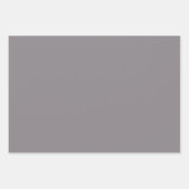 Plain Stone Taupe Timberwolf Grijze tinten 3 tinte Inpakpapier Vel (Voorkant 2)