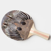 Plain Zebras, Nationaal Park Kruger Tafeltennisbatje (Zijkant)