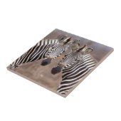 Plain Zebras, Nationaal Park Kruger Tegeltje (Zijkant)