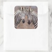 Plain Zebras, Nationaal Park Kruger Vierkante Sticker (Tas)