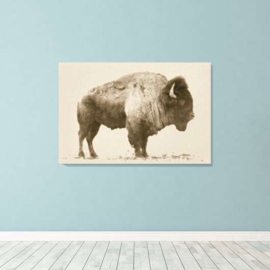 Plains Bison Canvas Afdruk (Insitu (Houten vloer))