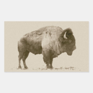 Plains Bison Rechthoekige Sticker