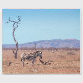 Plains zebra in het Nationaal Park Kruger in Zuid- Cadeaupapier (Vlak)