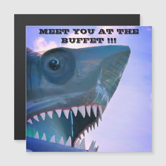 PLAINTE MAGNET DE PORTE DE CROISIÈRE DE REQUÊTE DU (Devant / Derrière)