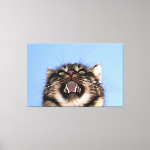 Plaintive Meow a Tabby Cat Acrylf Painting Canvas Afdruk
