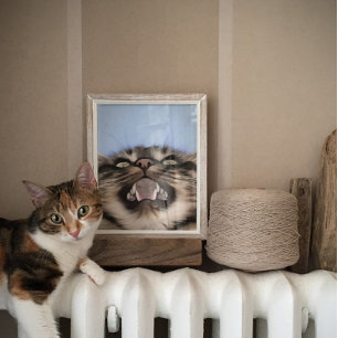 Plaintive Meow a Tabby Cat Acrylf Painting Poster