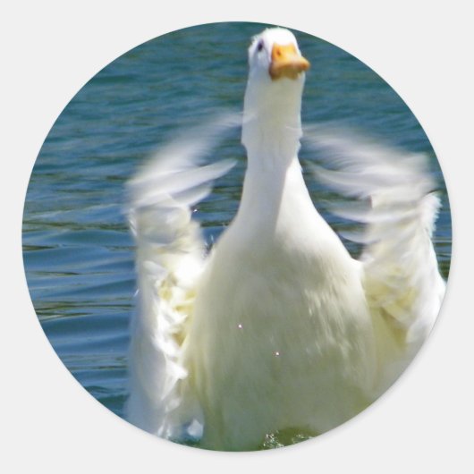 plak ronde sticker (Voorkant)