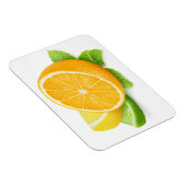 Plakjes citrusvruchten magneet (Rechterzijde)
