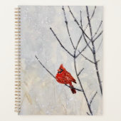 plan d'aquarelle, cardinal et neige (Devant)