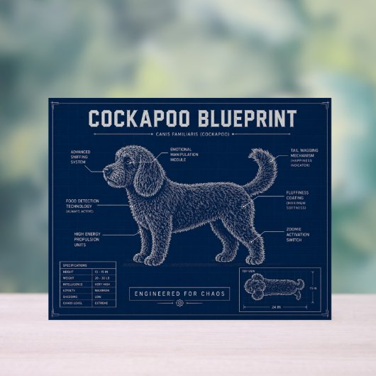 Plan de Cockapoo sur toile Cadeau pour amateur de (Neutre)