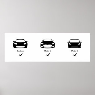 Plan directeur Tesla Poster Matte
