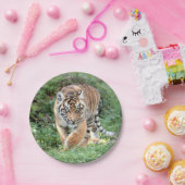 Plan Papier. Photo tiger 05. Assiette en Papier. (Fête)