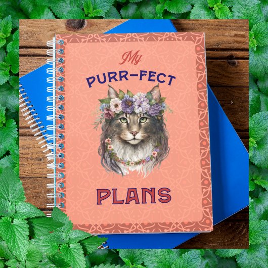 Plan Purr-fect Maine Coon