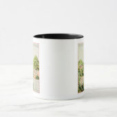 Plan van de mijnen van Oaxaca, Mexico, 1785-1987 Mok (Midden)