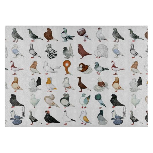 Planche À Découper 36 races de pigeons (Devant)