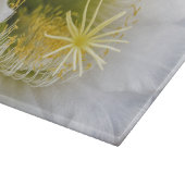 Planche À Découper À l'intérieur d'un cactus blanc en fleurs (Coin)