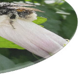 Planche À Découper Abeille en été (Coin)