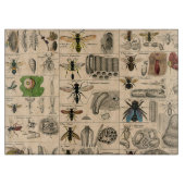 Planche À Découper Abeille Insecte Bug Wasp Histoire naturelle abeill (Devant)