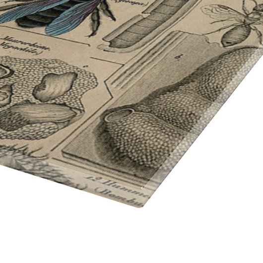 Planche À Découper Abeille Insecte Bug Wasp Histoire naturelle abeill (Coin)