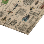 Planche À Découper Abeille Insecte Bug Wasp Histoire naturelle abeill (Coin)
